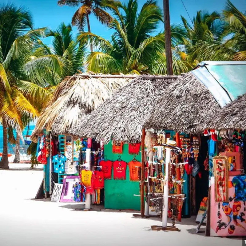 $$SAONA ISLAND EXCURSIONS FROM BAYAHIBE